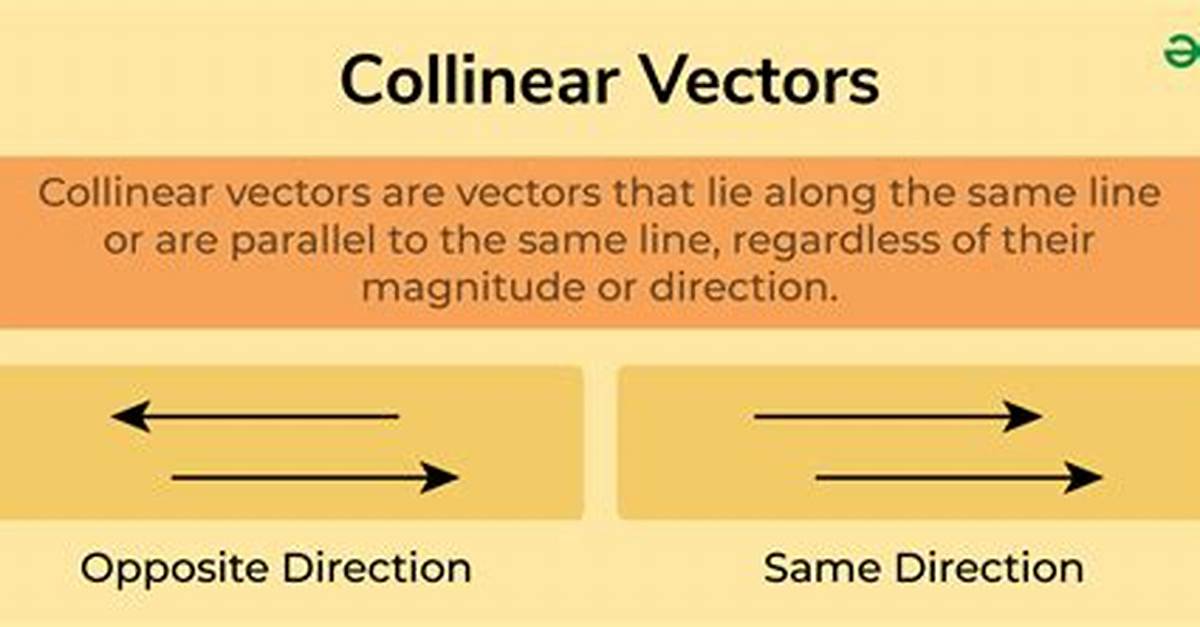 Difference Between Collinear Vectors and Parallel Vectors? [Closed]