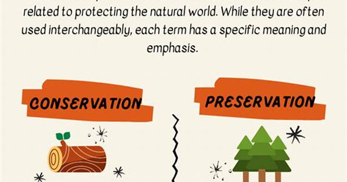 Difference Between Conservation and Preservation