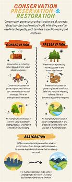 Difference Between Conservation and Preservation