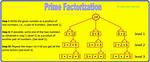 Difference Between 'Exec' and 'Select'; Prime Factorization Algorithm