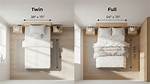Difference Between Full and Twin