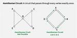 Difference Between Hamiltonian Path and Euler Path