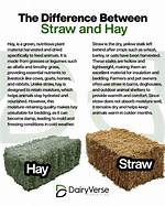 Difference Between Hay and Straw