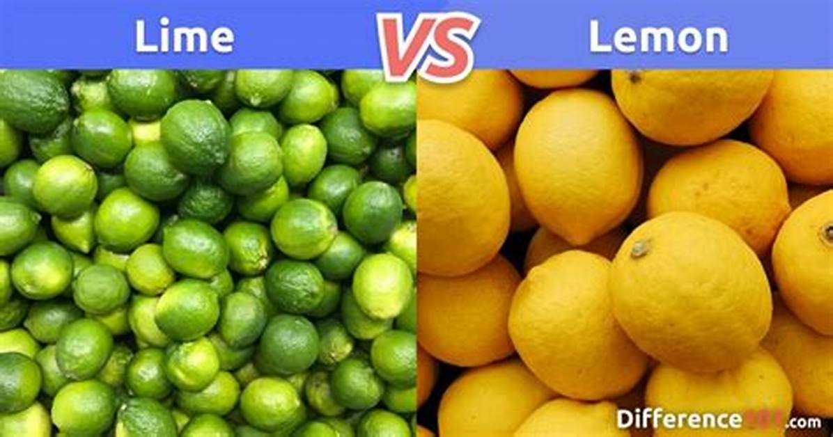 Difference Between Lime and Lemon