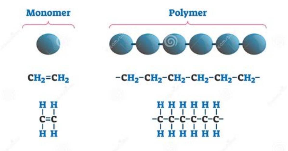 Difference Between Monomer and Polymer