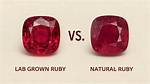 Difference Between "Not" and "!" in Ruby