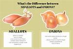Difference Between Onion and Shallot