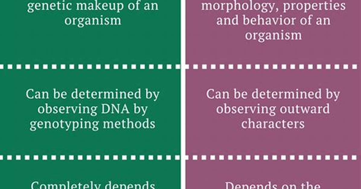 Difference Between Phenotype and Genotype