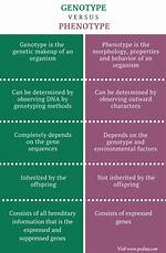 Difference Between Phenotype and Genotype