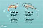 Difference Between Prawns and Shrimp