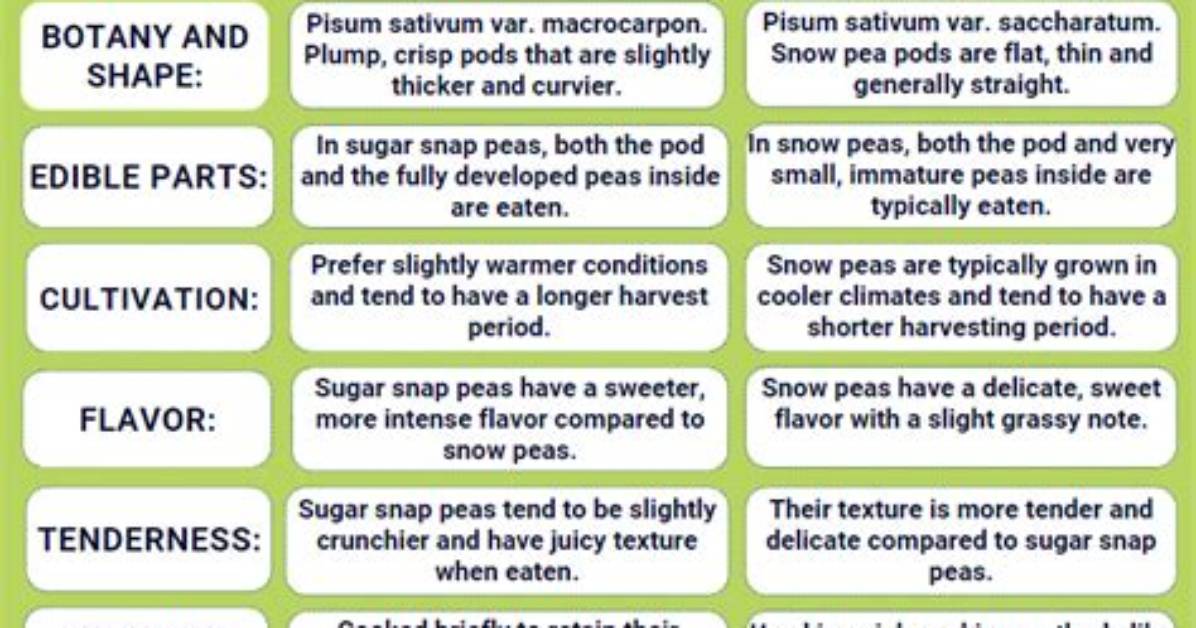 Difference Between Snap and Snapd