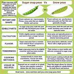 Difference Between Snap and Snapd