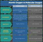 Difference Between Terms and Atomic Formula