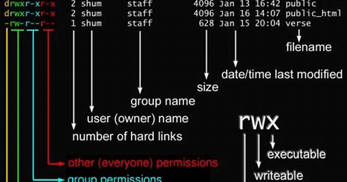 Difference Between Using "Chmod A+X" and "Chmod 755" [Closed]