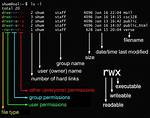 Difference Between Using "Chmod A+X" and "Chmod 755" [Closed]