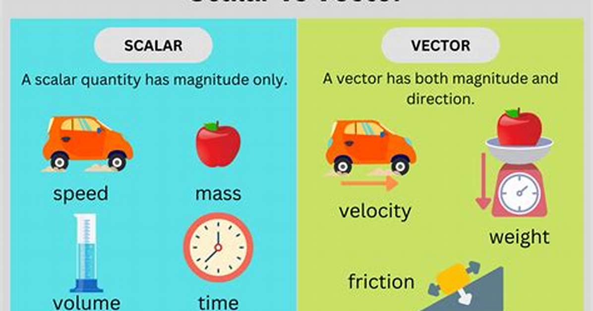 Difference Between Vector and Scalar