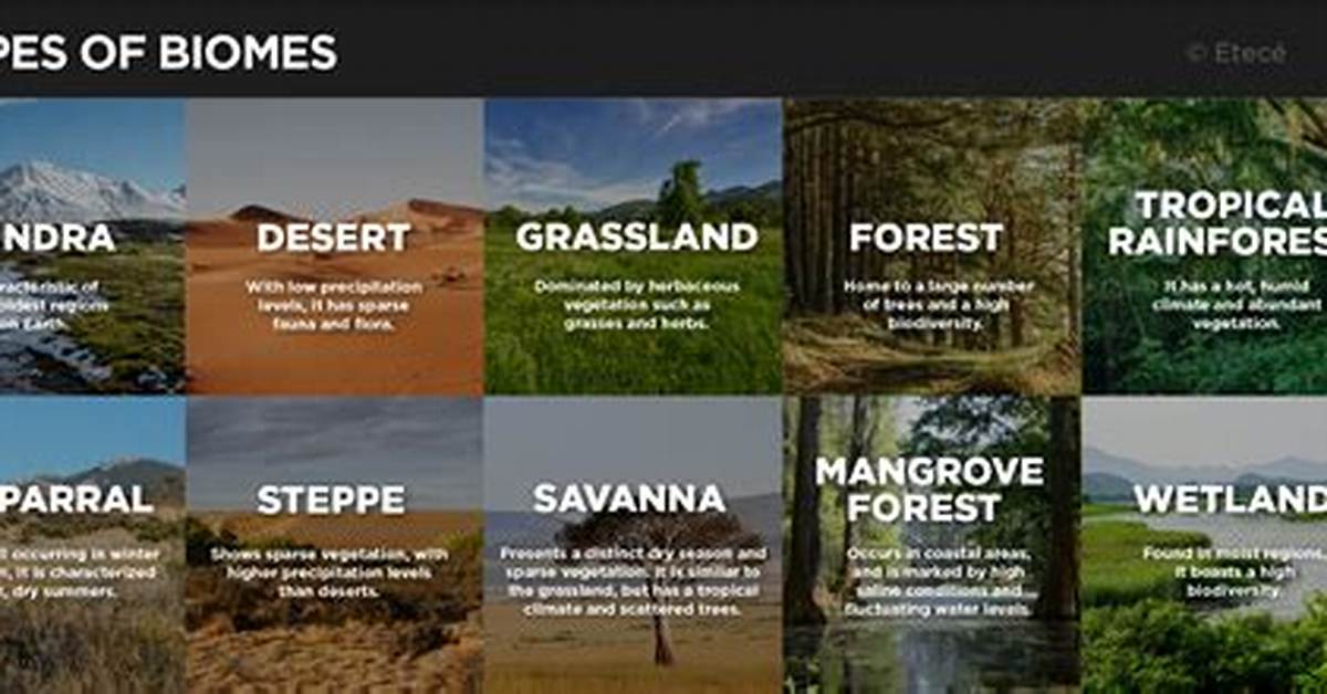 Different Biomes