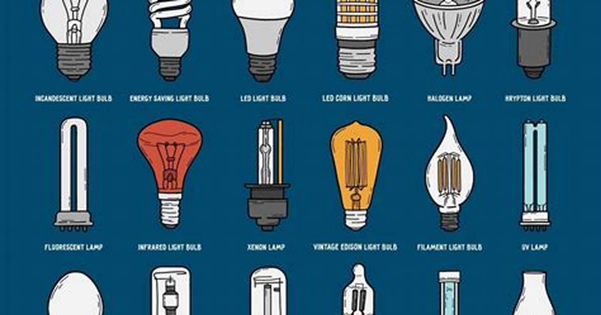 Different Light Bulbs