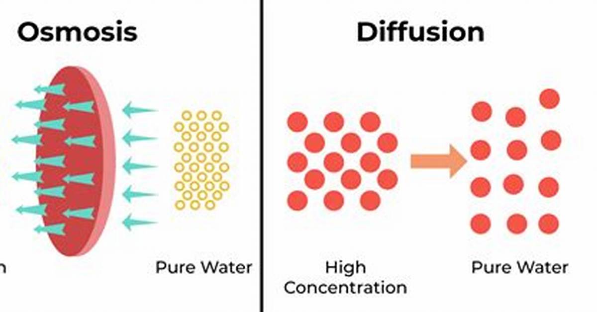Diffusion Is an Example Of
