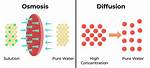 Diffusion Is an Example Of