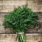 Dill Meaning