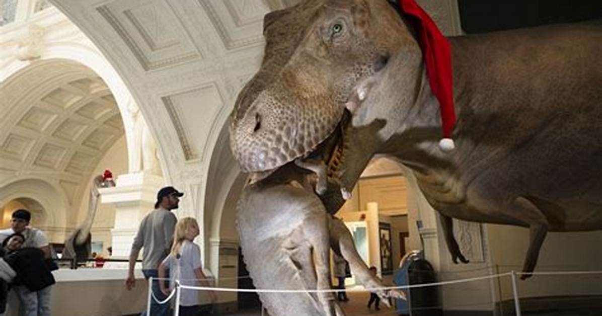 Dino Such as the Field Museum's Sue Crossword Clue Usa Today Answer