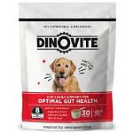 Dino Vite