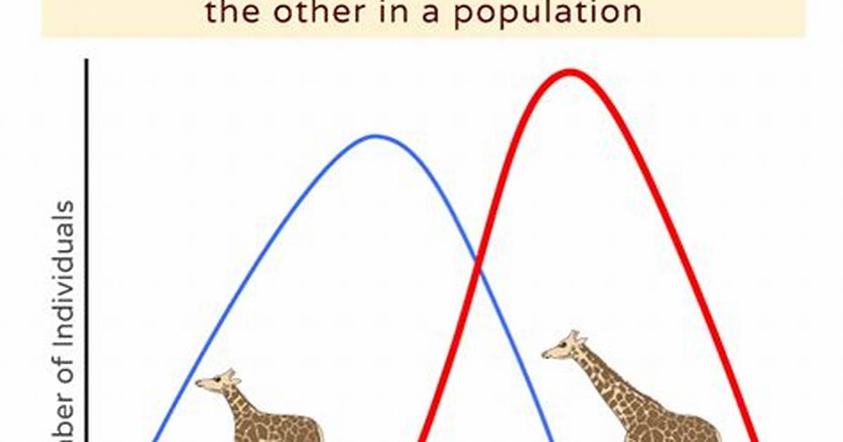 Directional Selection Example