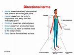 Directional Terms