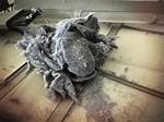 Dirty Dusting Cloth