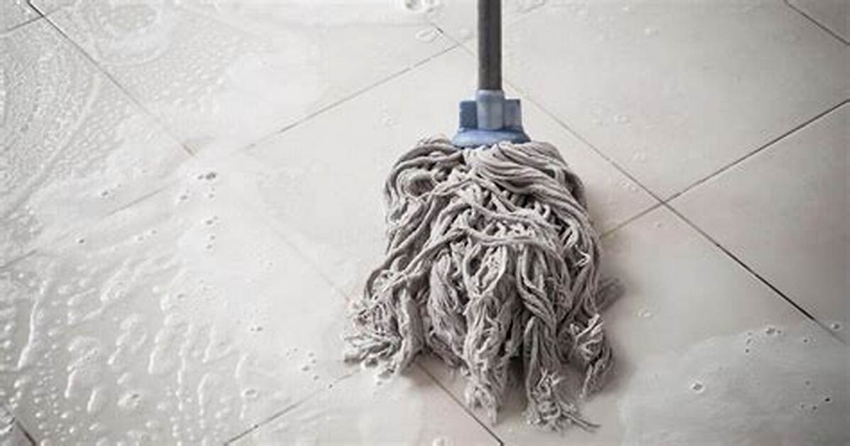 Dirty Mop
