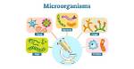 Disease-Causing Microbes