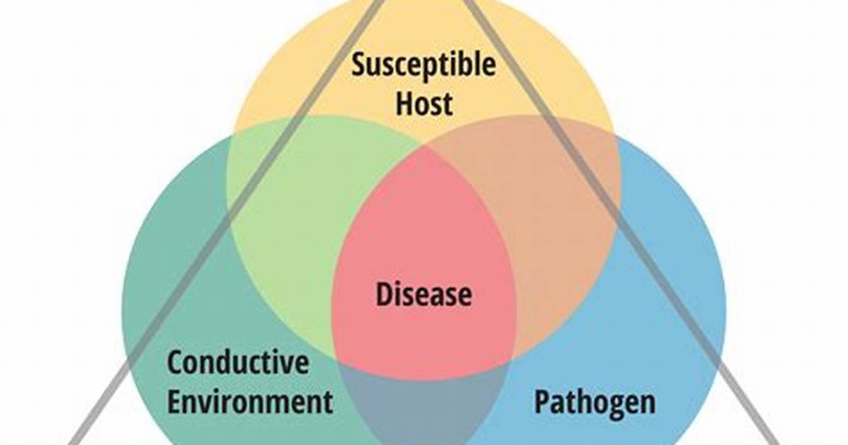 Disease Triangle