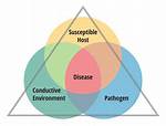 Disease Triangle