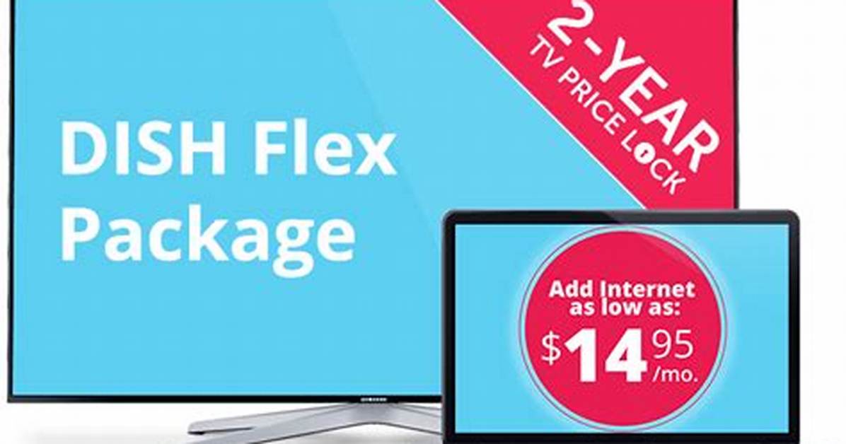 Dish Flex Package
