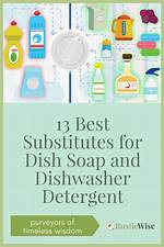 Dishwasher Detergent Substitute