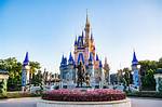 ___ Disney World