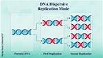 Dispersive Replication