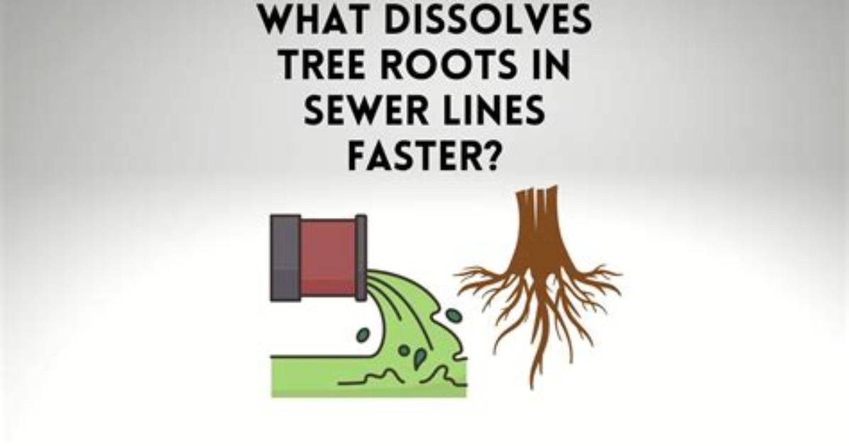 Dissolve Tree Roots