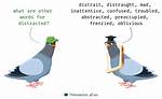Distracted Synonym