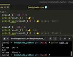 Divide in Python