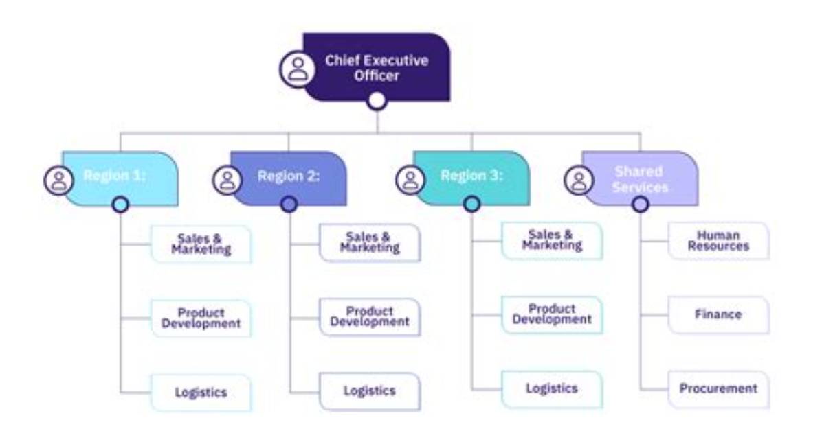 Divisional Structure