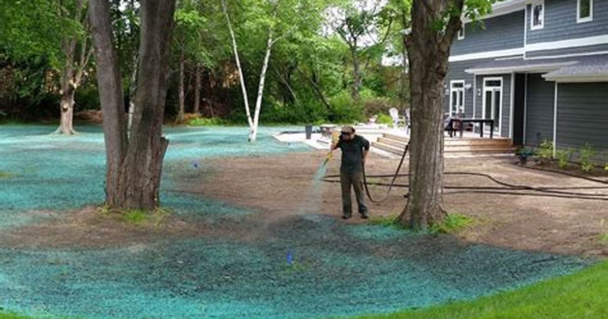 Diy Hydroseeding