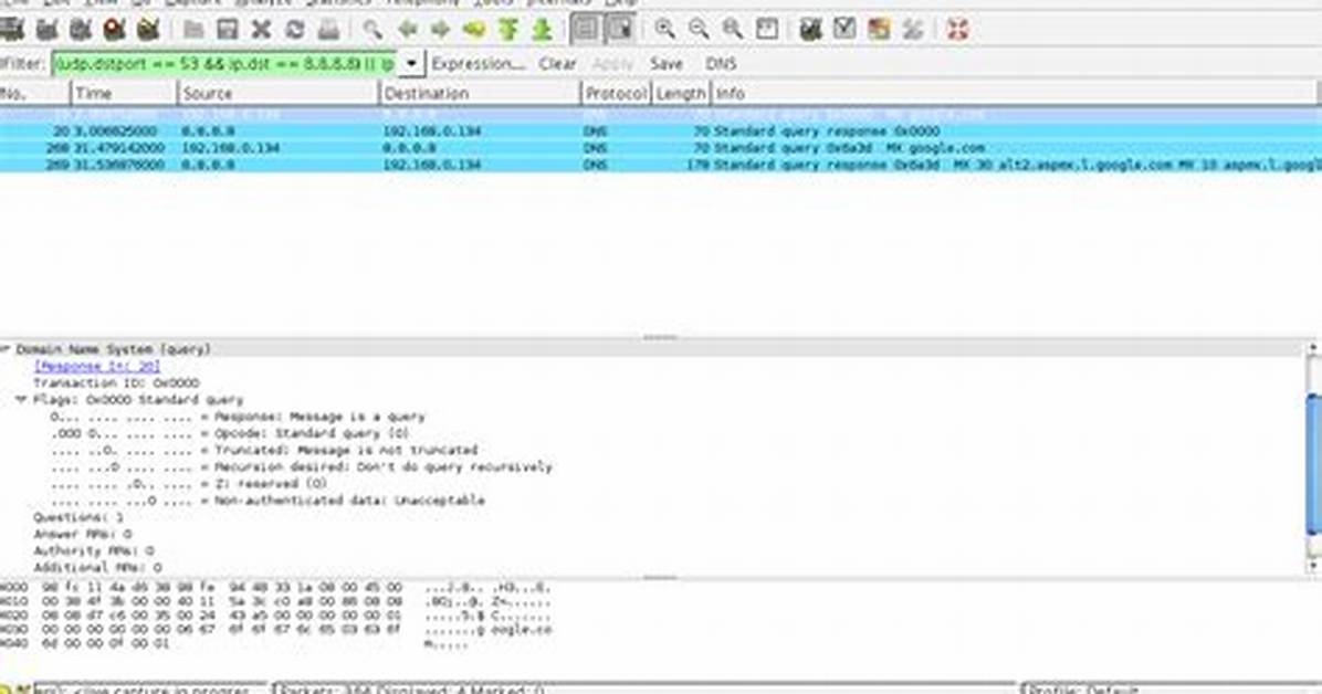 Dns Queries Returning No Answer Section