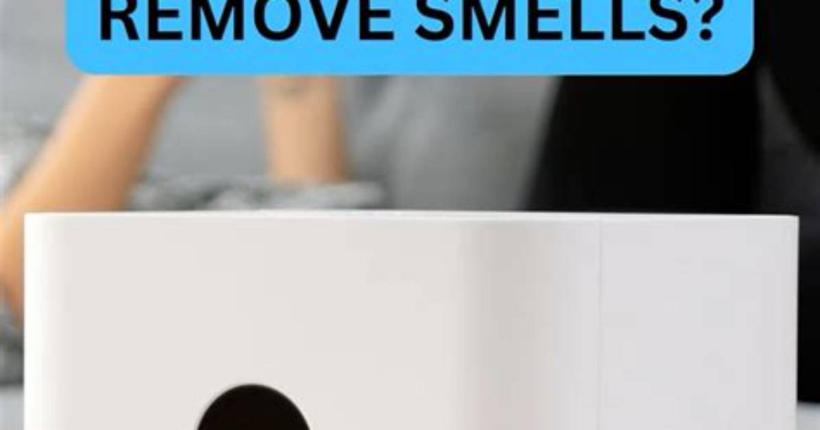 Do Air Purifiers Remove Smells?