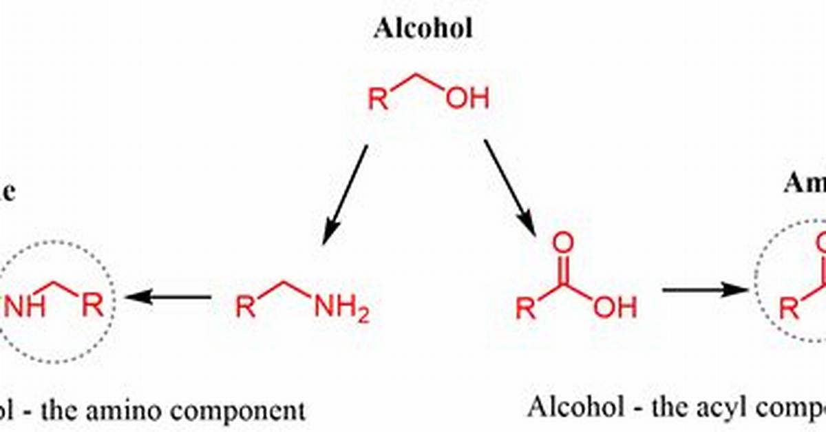 Do Amides React with Alcohol?