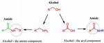 Do Amides React with Alcohol?