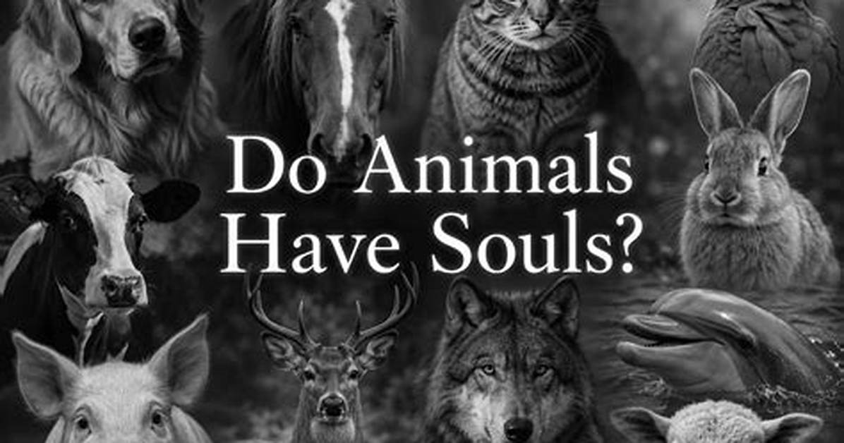 Do Animals Have Conscience?