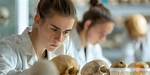 Do Anthropologists Study Prehistoric?