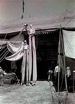 Do Any Circuses Still Exist?